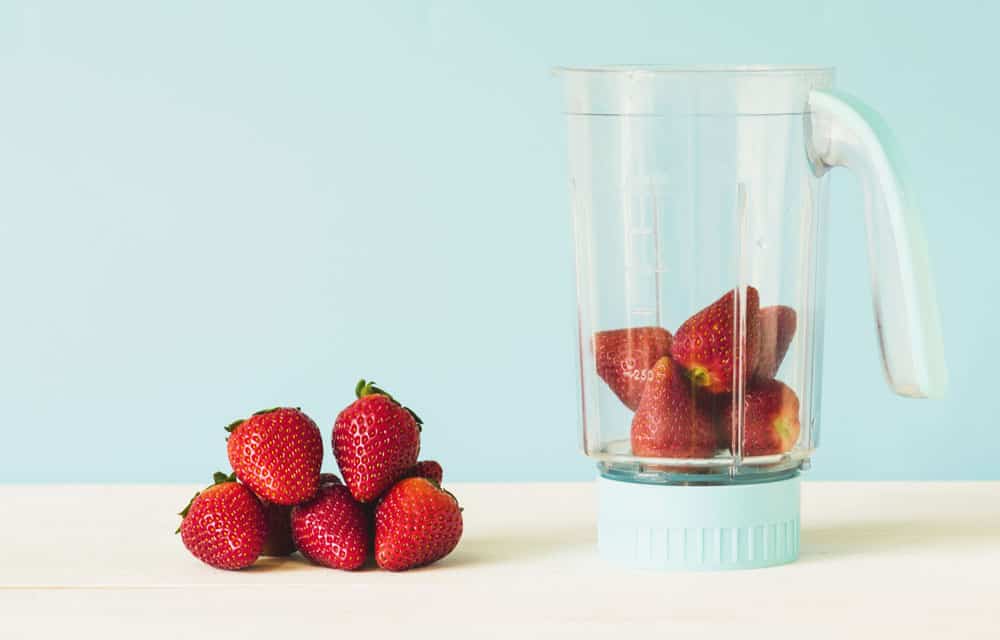 best blenders food processor combo