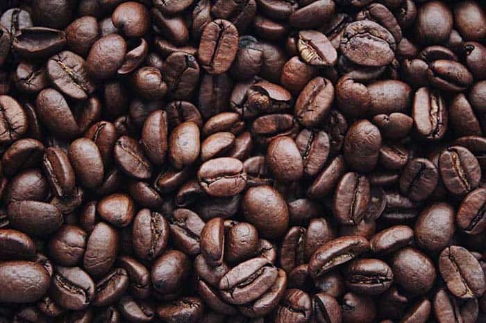 grinding coffee with ninja